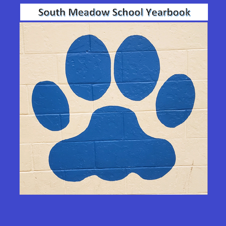 Featured image of article: South Meadow School 2020 Yearbook Order Information
